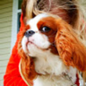 Meet your Posher, Hana